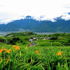 clouds, Valley, Flowers, Mountains