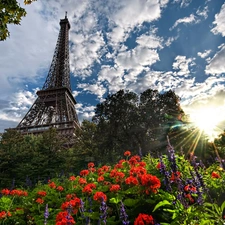 Paris, Eiffla Tower, Flowers