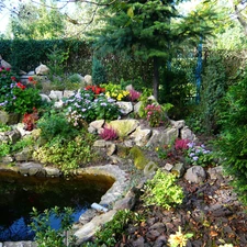 eye, Stones, Flowers, water