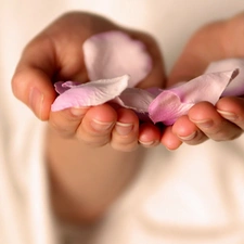 flowers, hands, flakes