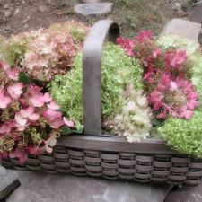 flowers, basket, full