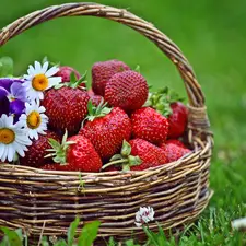 flowers, grass, strawberries, small bunch, basket