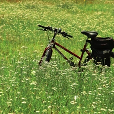 Flowers, Bike, Meadow