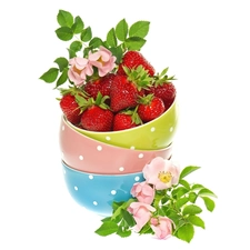 Flowers, rose, Bowls, strawberries, color