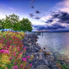 sea, coast, Flowers, stone