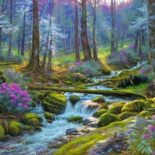 Flowers, Stones, River, stream, forest