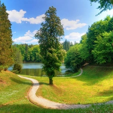 Way, viewes, Flowers, trees