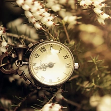 Flowers, Clock, White