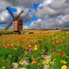 Flowers, Meadow, Windmill