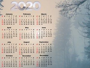 viewes, Fog, 2020, trees, Calendar
