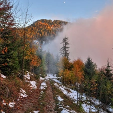 Fog, autumn, woods, Way, Mountains