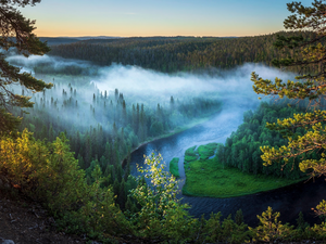 Fog, trees, Finland, viewes, Kuusamo Municipality, Kitkajoki River, forest, pine