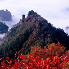 Fog, Mountains, forest