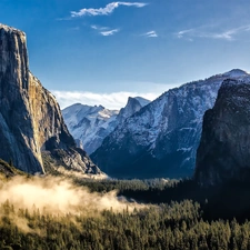 Fog, Mountains, forest