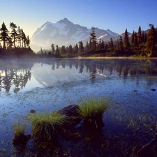 lake, Mountains, Fog, forest