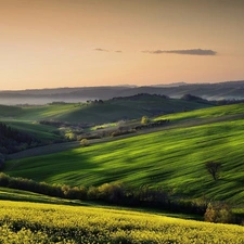 Fog, hills, Meadow