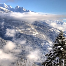 Fog, winter, Mountains