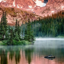 River, woods, Fog, Mountains