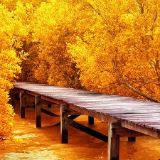 autumn, viewes, footbridge, trees