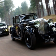 Two cars, cars, forest, Black