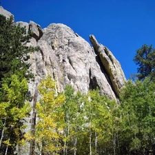 Dakota, rocks, forest, South