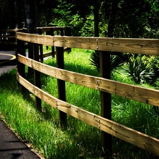 forest, Way, fence