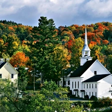 forest, Church, Houses