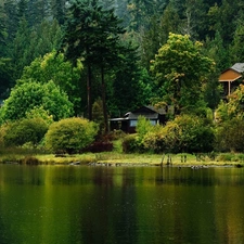 forest, lake, Houses