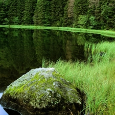 lake, grass, forest, Stone