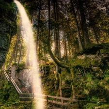 forest, Germany, viewes, waterfall, trees, Baden-Württemberg