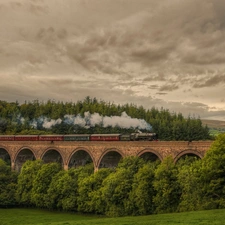 Sky, Train, trees, Clouds, bridge, forest, viewes