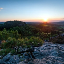 west, rocks, forest, sun