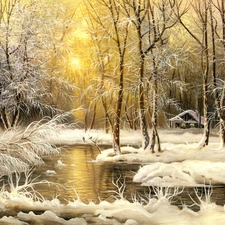 forest, picture, winter