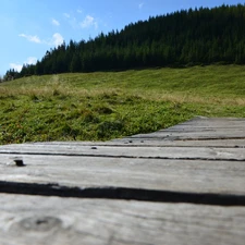 Zakopane, boarding, forest, Meadow