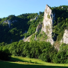 forests, rocks, Wooded