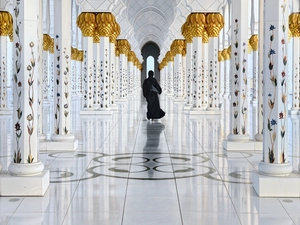 form, mosque, column