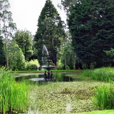 Park, scrub, fountain, Pond - car