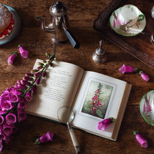 Lamp, cake, plate, Flowers, cups, Book, composition, foxglove