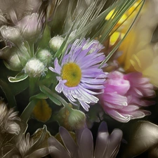 Flowers, Fractalius