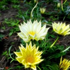 Fractalius, nature, Flowers