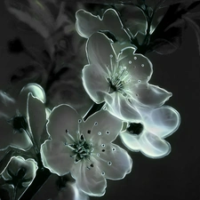 Fractalius, Spring, Flowers