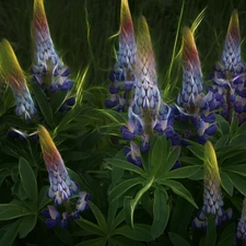 Fractalius, blue, lupine