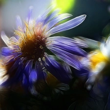 Fractalius, Flowers, Wildflowers