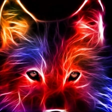 Wolf, Fractalius