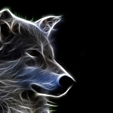 Wolf, Fractalius