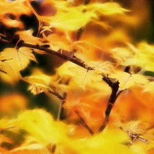 Yellow, Leaf, Fractalius, Autumn