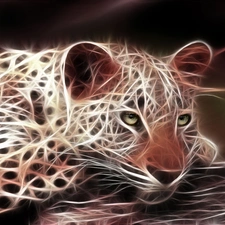 Cheetah, Fraktal