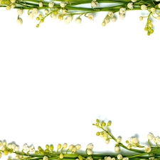 lily of the Valley, frame