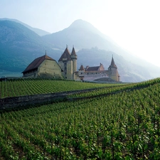 Mountains, vineyard, France, Castle
