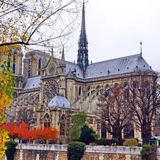 chair, Paris, France, Notre Dame